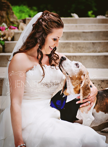 Caledon Bride and her basset hound dog by www.jnphotography.ca @filemanager