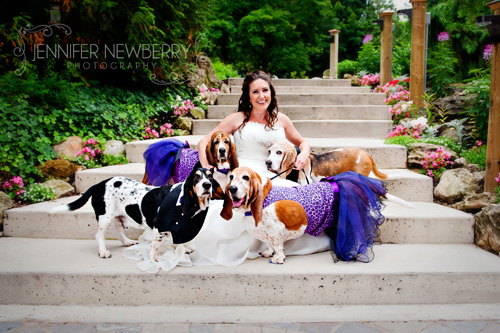 Caledon Bride and basset hound dogs by www.jnphotography.ca @filemanager