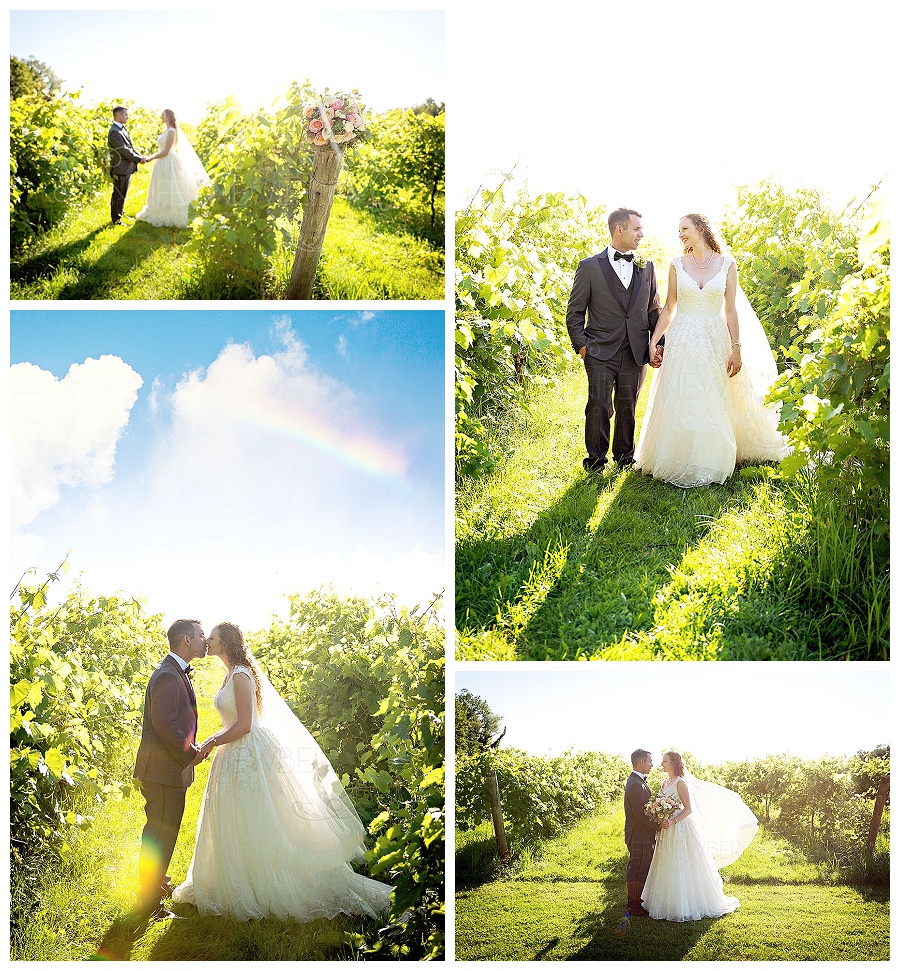 Holland Marsh Wineries summer wedding photos by Newmarket wedding photographer www.jnphotography.ca @filemanager